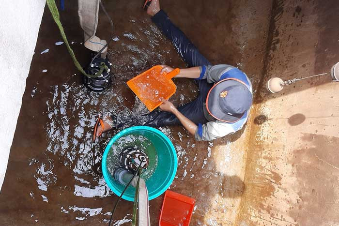 Dịch vụ vệ sinh bể nước ngầm quận Tân Bình